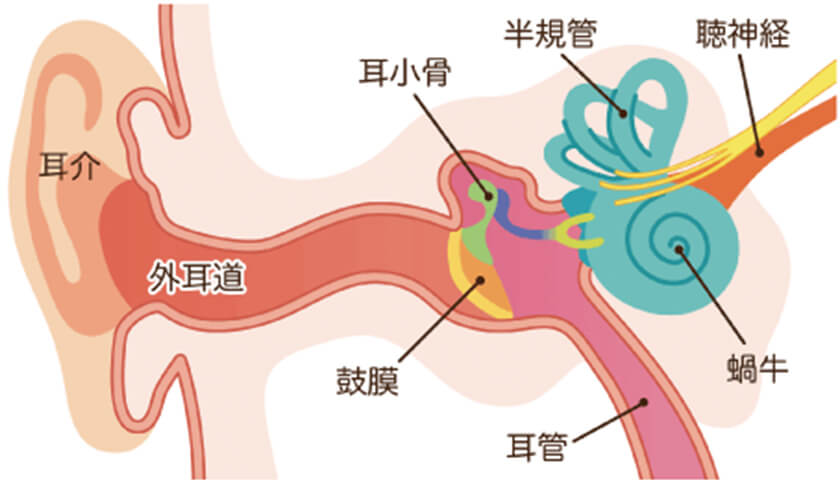 �����֤����Ĥ꤬���ȥ쥹�ˡ����ŤǼ������ȤϤǤ��롩