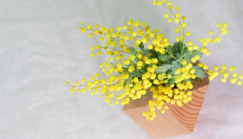 �������夫��來�Τˤ��������ˤʤ롣�����ޤ��н�Ǥ������Ť�Ƥ���